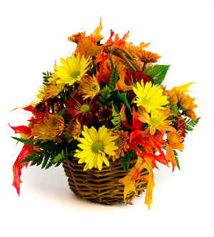 <b>Notice</b>: Undefined index: name in <b>/home/stranges/public_html/shop/vqmod/vqcache/vq2-catalog_view_theme_default_template_product_search.tpl</b> on line <b>386</b>
